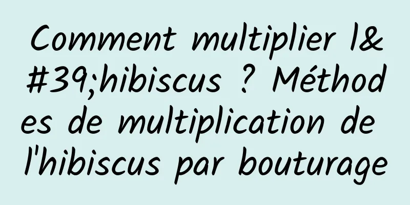 Comment multiplier l'hibiscus ? Méthodes de multiplication de l'hibiscus par bouturage