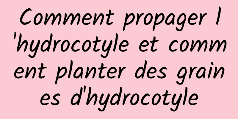 Comment propager l'hydrocotyle et comment planter des graines d'hydrocotyle