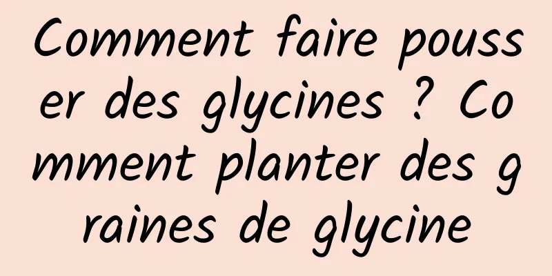 Comment faire pousser des glycines ? Comment planter des graines de glycine