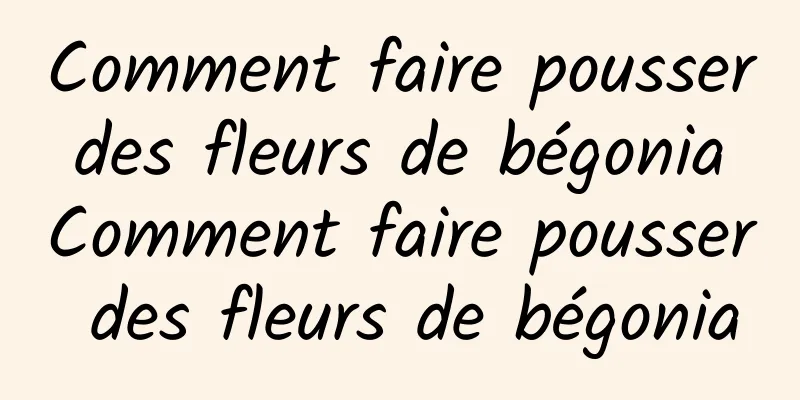 Comment faire pousser des fleurs de bégonia Comment faire pousser des fleurs de bégonia