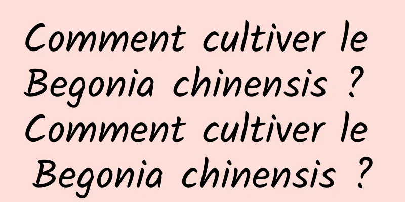 Comment cultiver le Begonia chinensis ? Comment cultiver le Begonia chinensis ?