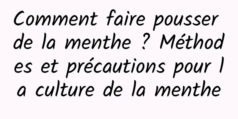 Comment faire pousser de la menthe ? Méthodes et précautions pour la culture de la menthe