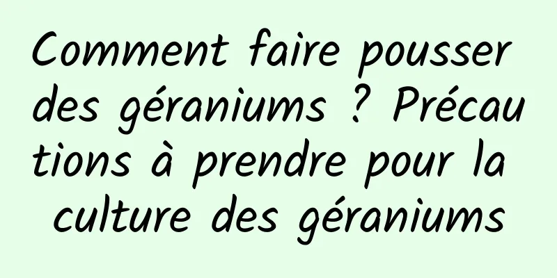 Comment faire pousser des géraniums ? Précautions à prendre pour la culture des géraniums