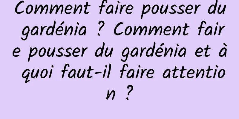 Comment faire pousser du gardénia ? Comment faire pousser du gardénia et à quoi faut-il faire attention ?