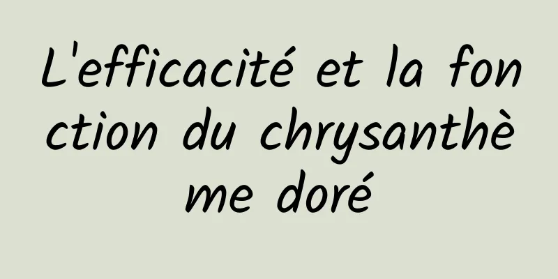 L'efficacité et la fonction du chrysanthème doré