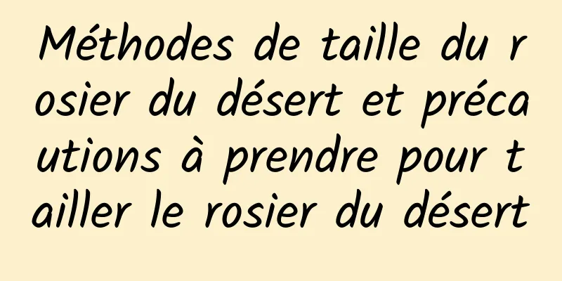 Méthodes de taille du rosier du désert et précautions à prendre pour tailler le rosier du désert