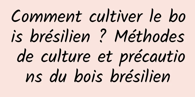 Comment cultiver le bois brésilien ? Méthodes de culture et précautions du bois brésilien