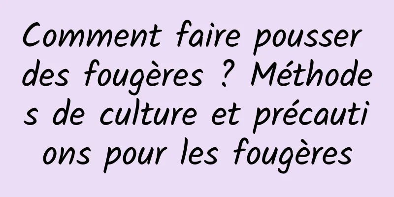 Comment faire pousser des fougères ? Méthodes de culture et précautions pour les fougères