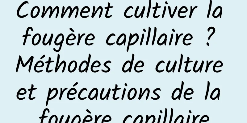 Comment cultiver la fougère capillaire ? Méthodes de culture et précautions de la fougère capillaire