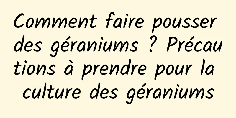 Comment faire pousser des géraniums ? Précautions à prendre pour la culture des géraniums