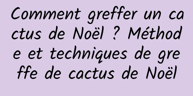 Comment greffer un cactus de Noël ? Méthode et techniques de greffe de cactus de Noël