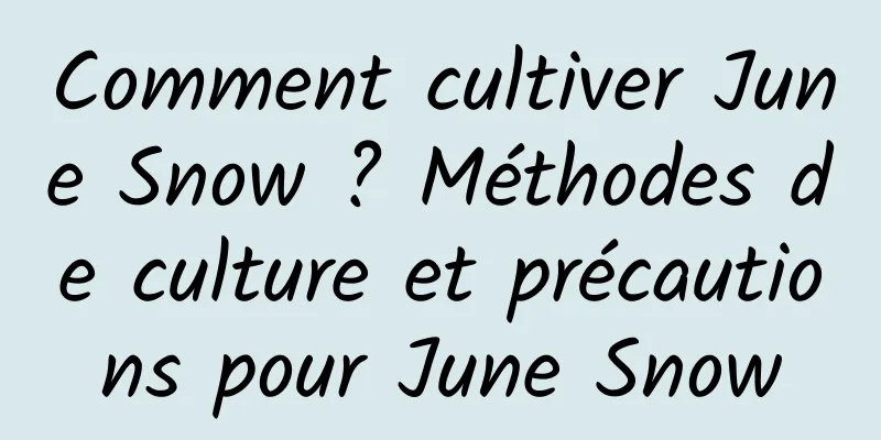 Comment cultiver June Snow ? Méthodes de culture et précautions pour June Snow