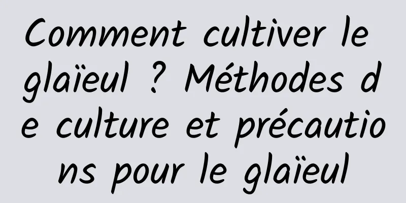 Comment cultiver le glaïeul ? Méthodes de culture et précautions pour le glaïeul