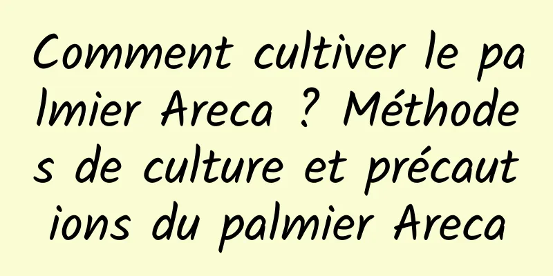 Comment cultiver le palmier Areca ? Méthodes de culture et précautions du palmier Areca