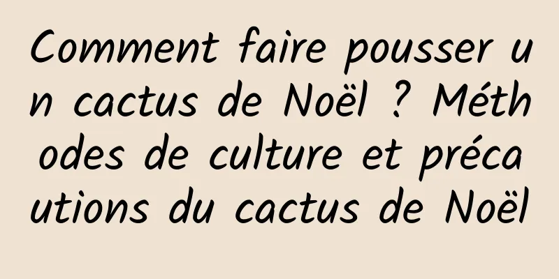 Comment faire pousser un cactus de Noël ? Méthodes de culture et précautions du cactus de Noël