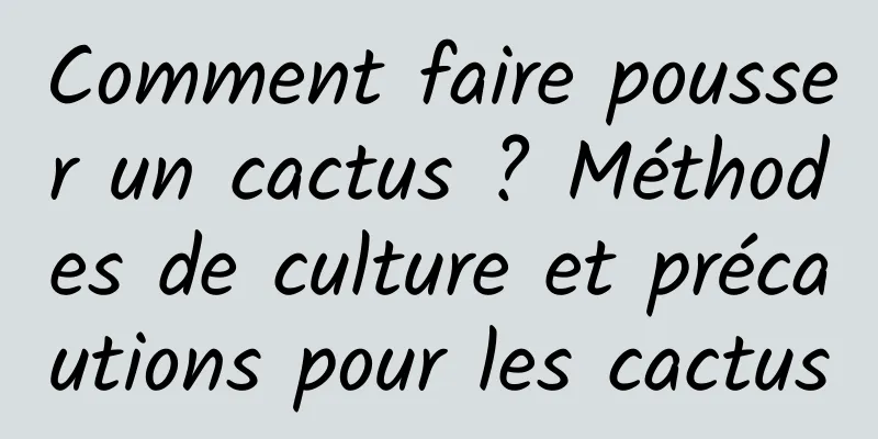 Comment faire pousser un cactus ? Méthodes de culture et précautions pour les cactus