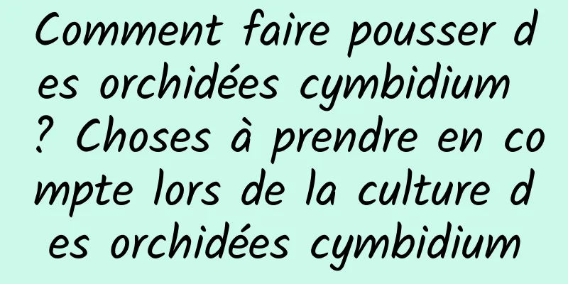 Comment faire pousser des orchidées cymbidium ? Choses à prendre en compte lors de la culture des orchidées cymbidium