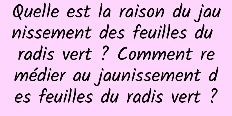 Quelle est la raison du jaunissement des feuilles du radis vert ? Comment remédier au jaunissement des feuilles du radis vert ?