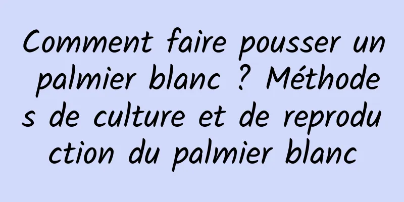 Comment faire pousser un palmier blanc ? Méthodes de culture et de reproduction du palmier blanc