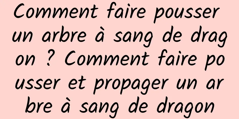 Comment faire pousser un arbre à sang de dragon ? Comment faire pousser et propager un arbre à sang de dragon