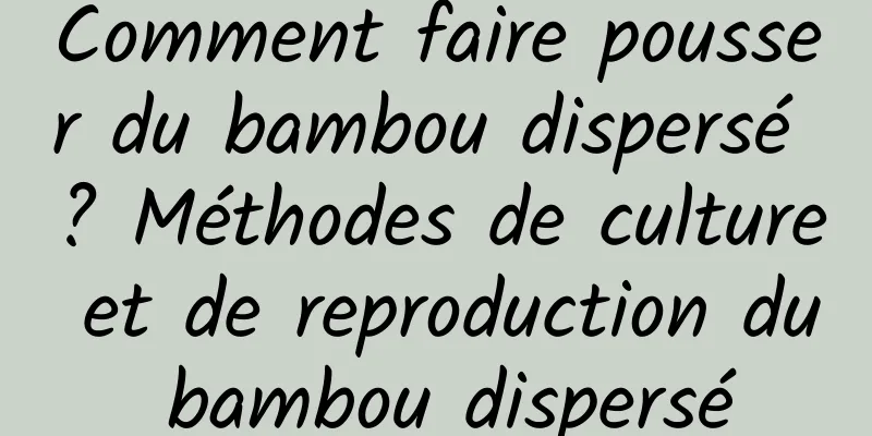 Comment faire pousser du bambou dispersé ? Méthodes de culture et de reproduction du bambou dispersé