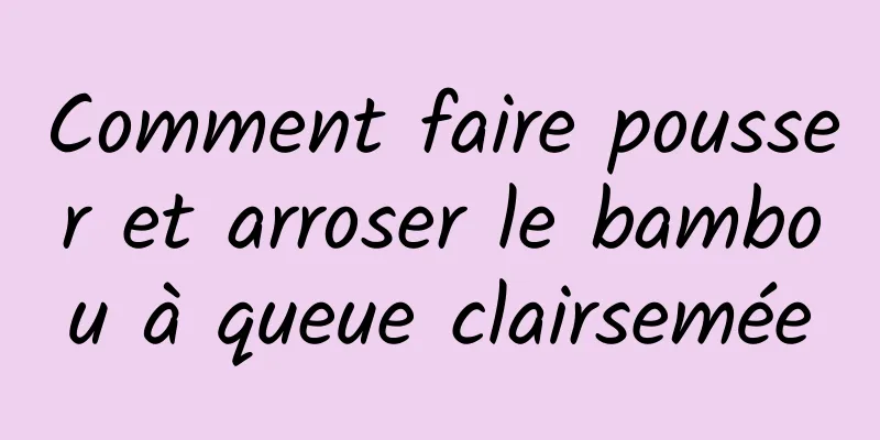 Comment faire pousser et arroser le bambou à queue clairsemée