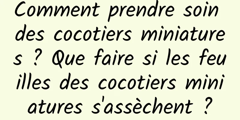 Comment prendre soin des cocotiers miniatures ? Que faire si les feuilles des cocotiers miniatures s'assèchent ?