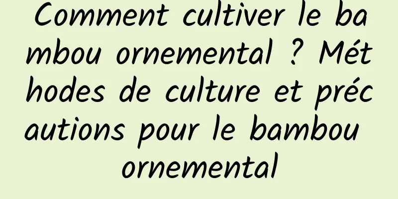 Comment cultiver le bambou ornemental ? Méthodes de culture et précautions pour le bambou ornemental