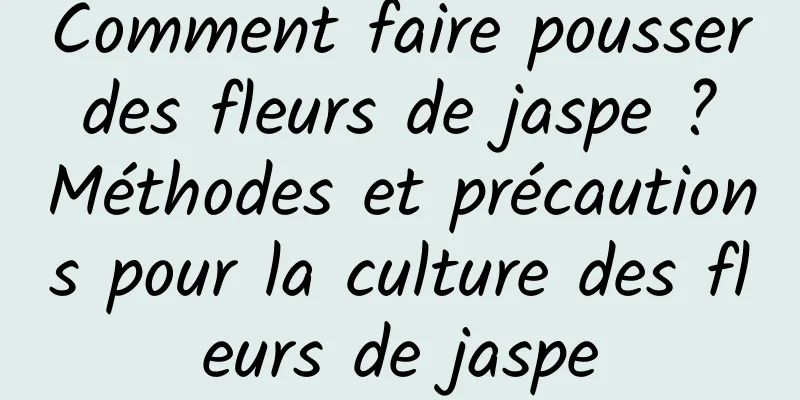 Comment faire pousser des fleurs de jaspe ? Méthodes et précautions pour la culture des fleurs de jaspe