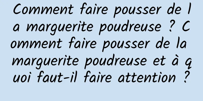 Comment faire pousser de la marguerite poudreuse ? Comment faire pousser de la marguerite poudreuse et à quoi faut-il faire attention ?