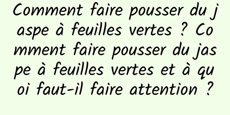 Comment faire pousser du jaspe à feuilles vertes ? Comment faire pousser du jaspe à feuilles vertes et à quoi faut-il faire attention ?