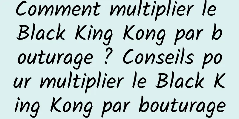 Comment multiplier le Black King Kong par bouturage ? Conseils pour multiplier le Black King Kong par bouturage