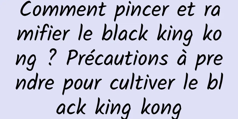 Comment pincer et ramifier le black king kong ? Précautions à prendre pour cultiver le black king kong