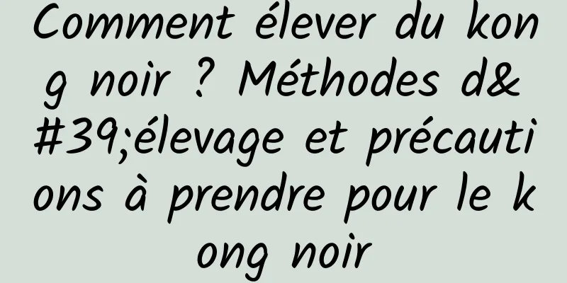 Comment élever du kong noir ? Méthodes d'élevage et précautions à prendre pour le kong noir