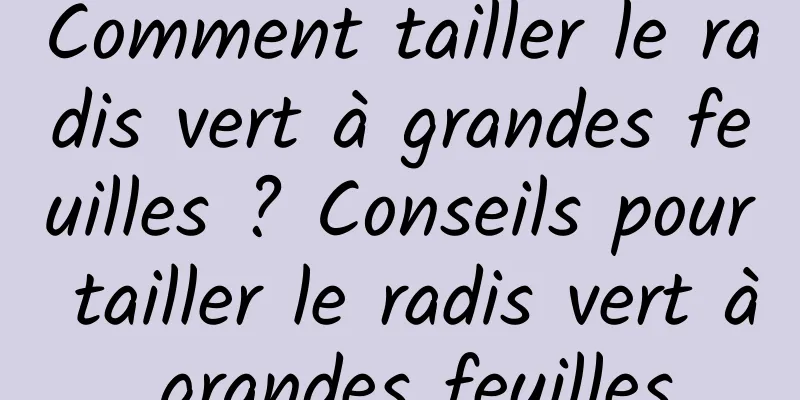 Comment tailler le radis vert à grandes feuilles ? Conseils pour tailler le radis vert à grandes feuilles