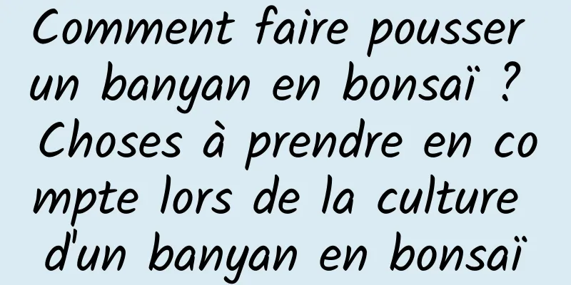 Comment faire pousser un banyan en bonsaï ? Choses à prendre en compte lors de la culture d'un banyan en bonsaï