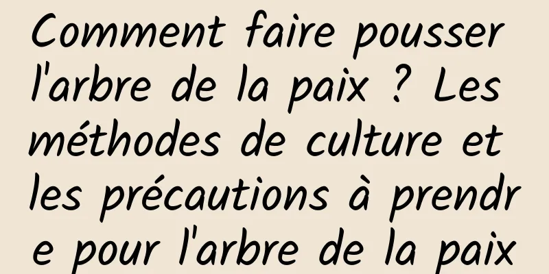 Comment faire pousser l'arbre de la paix ? Les méthodes de culture et les précautions à prendre pour l'arbre de la paix