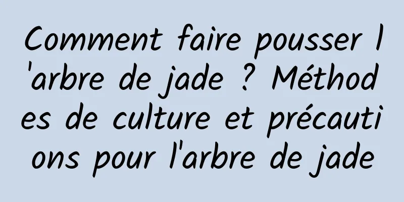 Comment faire pousser l'arbre de jade ? Méthodes de culture et précautions pour l'arbre de jade