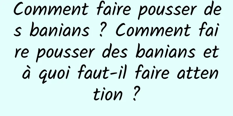 Comment faire pousser des banians ? Comment faire pousser des banians et à quoi faut-il faire attention ?