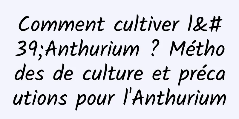 Comment cultiver l'Anthurium ? Méthodes de culture et précautions pour l'Anthurium