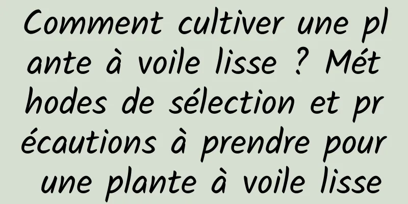 Comment cultiver une plante à voile lisse ? Méthodes de sélection et précautions à prendre pour une plante à voile lisse