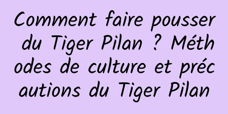 Comment faire pousser du Tiger Pilan ? Méthodes de culture et précautions du Tiger Pilan