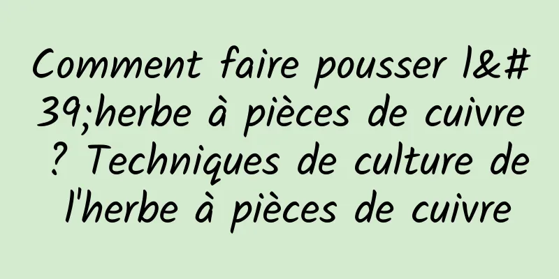 Comment faire pousser l'herbe à pièces de cuivre ? Techniques de culture de l'herbe à pièces de cuivre