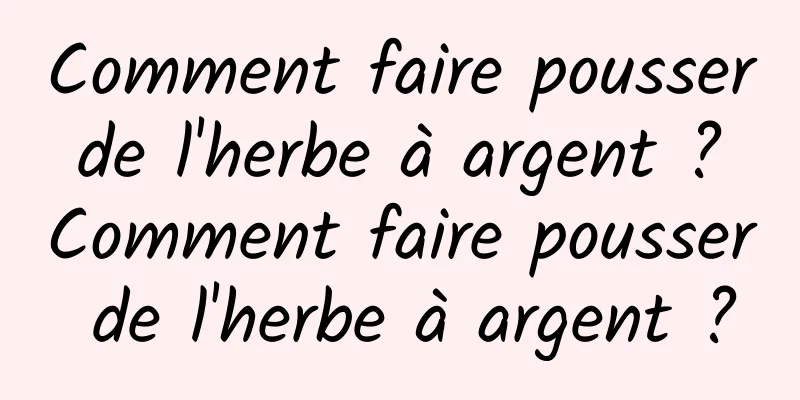 Comment faire pousser de l'herbe à argent ? Comment faire pousser de l'herbe à argent ?