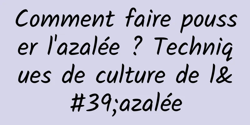 Comment faire pousser l'azalée ? Techniques de culture de l'azalée