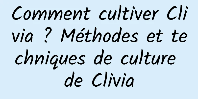 Comment cultiver Clivia ? Méthodes et techniques de culture de Clivia