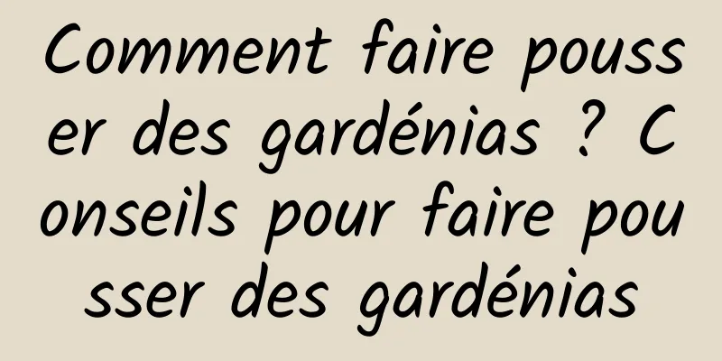 Comment faire pousser des gardénias ? Conseils pour faire pousser des gardénias