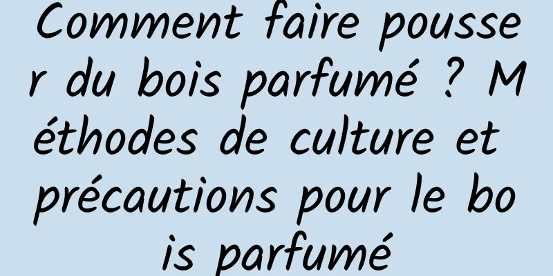 Comment faire pousser du bois parfumé ? Méthodes de culture et précautions pour le bois parfumé