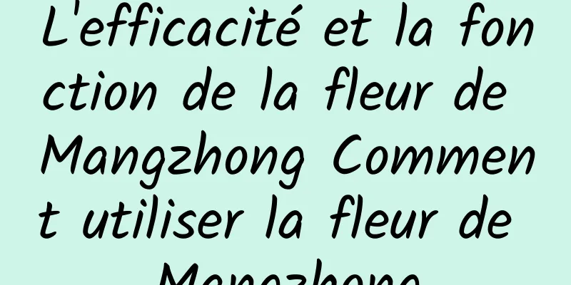 L'efficacité et la fonction de la fleur de Mangzhong Comment utiliser la fleur de Mangzhong