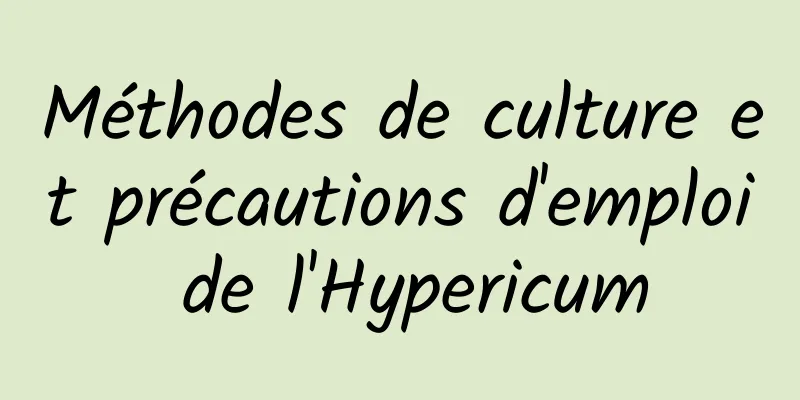 Méthodes de culture et précautions d'emploi de l'Hypericum